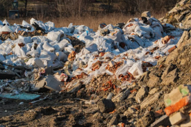 湖北省年接纳处理50万吨修建垃圾综合使用项目可行性研究报告
